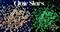 Polyester Glitter - Glow Stars Glitter Shape by Glitter Heart Co.™